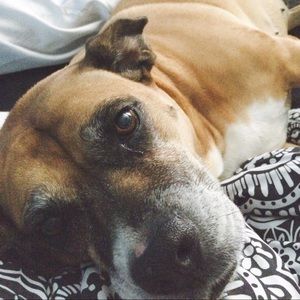 Meet your Posher, Miya