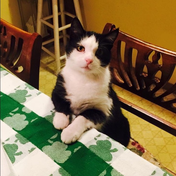 Meet your Posher, Courtney! - Picture 4 of 4