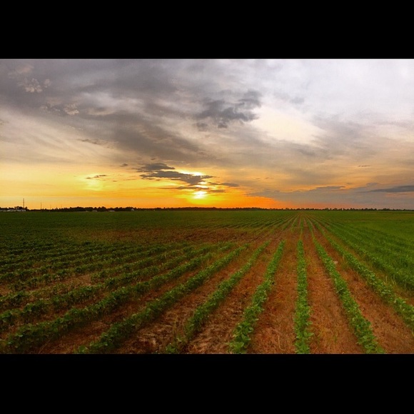 Meet your Posher, Andrew - Picture 1 of 1