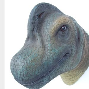 Meet your Posher, Casey