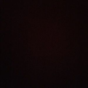 Meet your Posher, Gavin