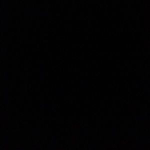 Meet your Posher, Dani