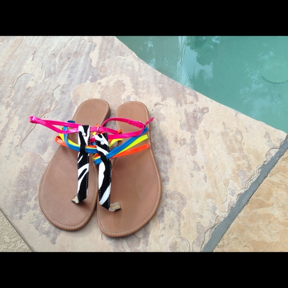 Gladiators - Picture 2 of 2