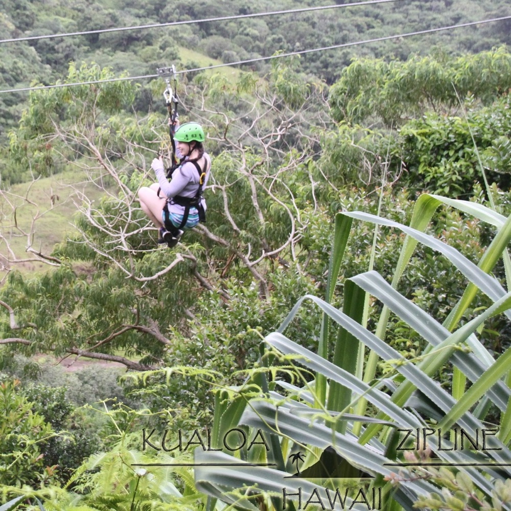 💕 POSH AMBASSADOR II & SUGGESTED USER 💕 - Picture 9 of 15