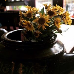 Meet your Posher, Kathryn