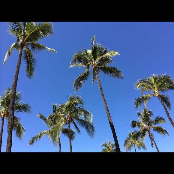 About @king25 - Picture 2 of 2