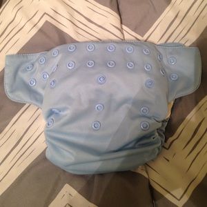6 Bumgenius Elemental Organic Cloth Diapers
