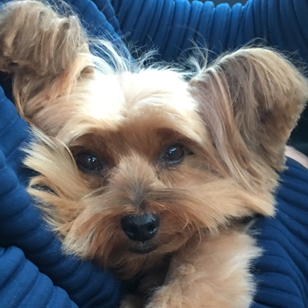 🖤Welcome🖤 Reasonable offers accepted!