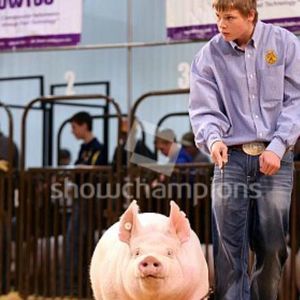 Meet your Posher, Jackson