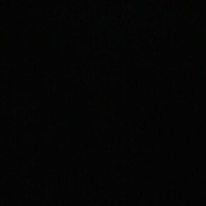 Meet your Posher, Angelica