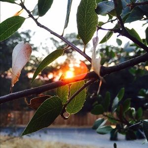 Meet your Posher, Kevyn