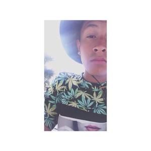 Meet your Posher, Allan