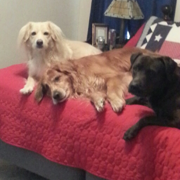 Meet your Posher, Susan - Picture 3 of 4