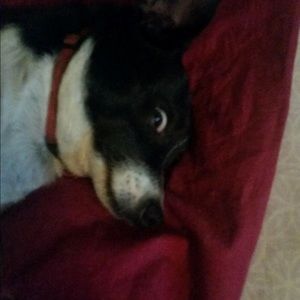 Meet your Posher, Theresa