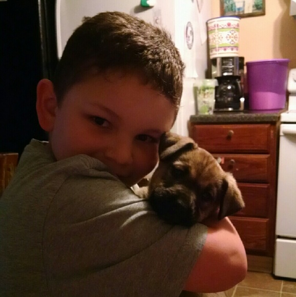 Meet your Posher, Vanetta - Picture 2 of 2