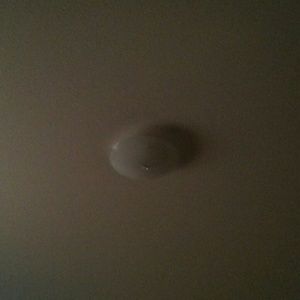 Meet your Posher, Gary