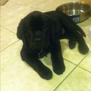 Meet your Posher, Mark