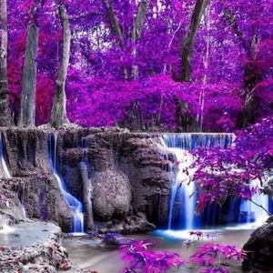 Meet your Posher, Debby