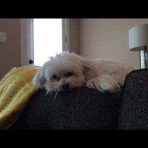 Meet your Posher, Olivia