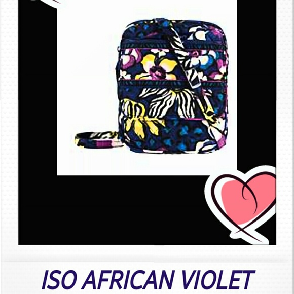 ISO AFRICAN VIOLET MINI HIPSTER - Picture 1 of 1