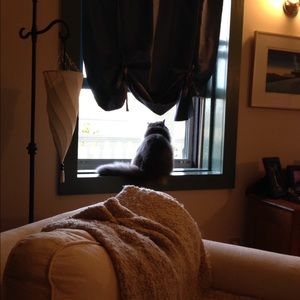 Meet your Posher, Claudia