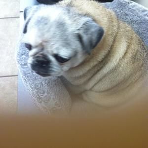 Meet your Posher, Moonjung