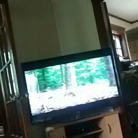 Meet your Posher, Blake - Picture 1 of 1