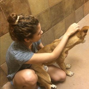 Meet your Posher, Sadie