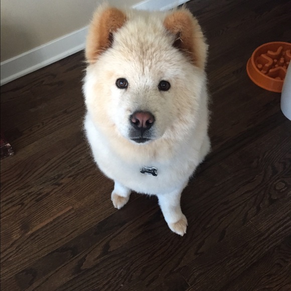 Meet your Posher, Michelle - Picture 3 of 5