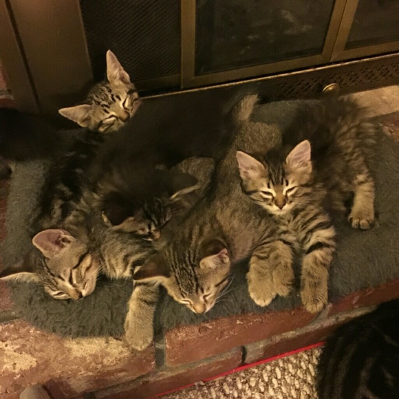 Meet the Posher - Picture 3 of 4