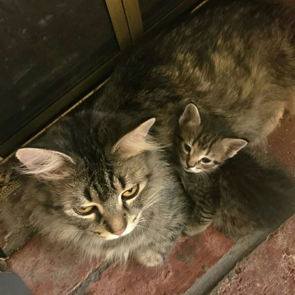 Meet the Posher - Picture 4 of 4