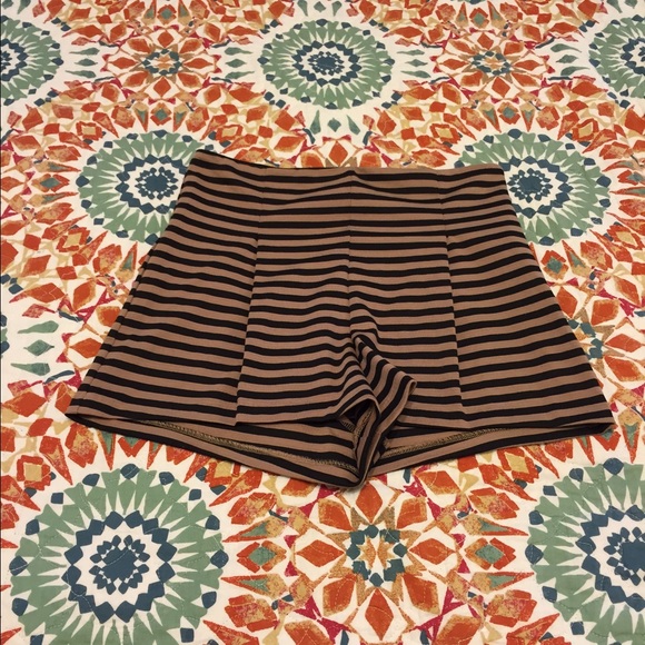 Free people black and taupe combo shorts