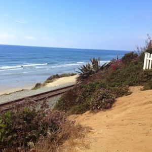 Meet your Posher, Ellis