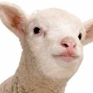 Meet your Posher, Milton