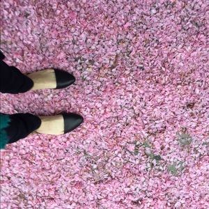 Meet your Posher, Taylor