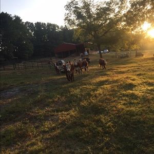 Meet your Posher, Lee ann