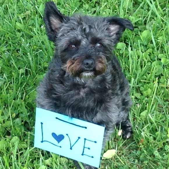 Meet your Posher, Jenna - Picture 1 of 1