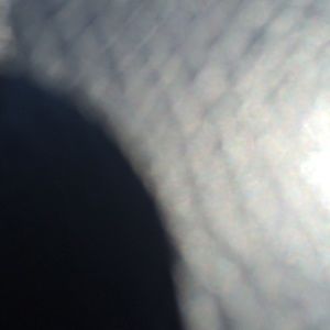 Meet your Posher, Selena p