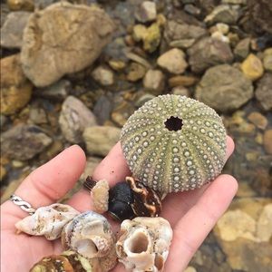 Meet your Posher, Mackenzie