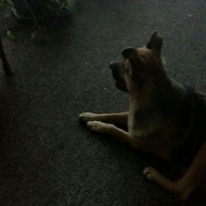 Meet your Posher, Patricia