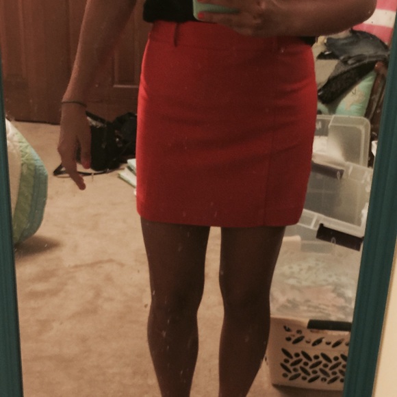 Express skirt - Picture 3 of 4