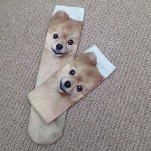 Pomeranian socks!
