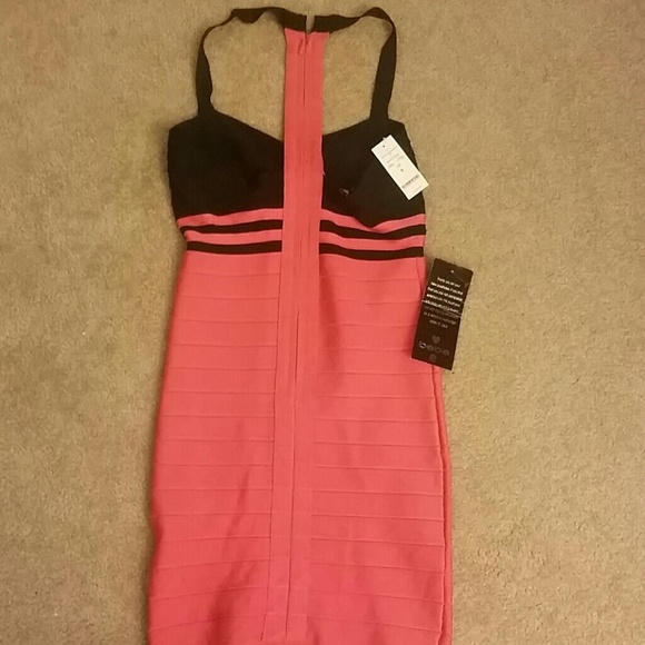 Bebe - Picture 2 of 2