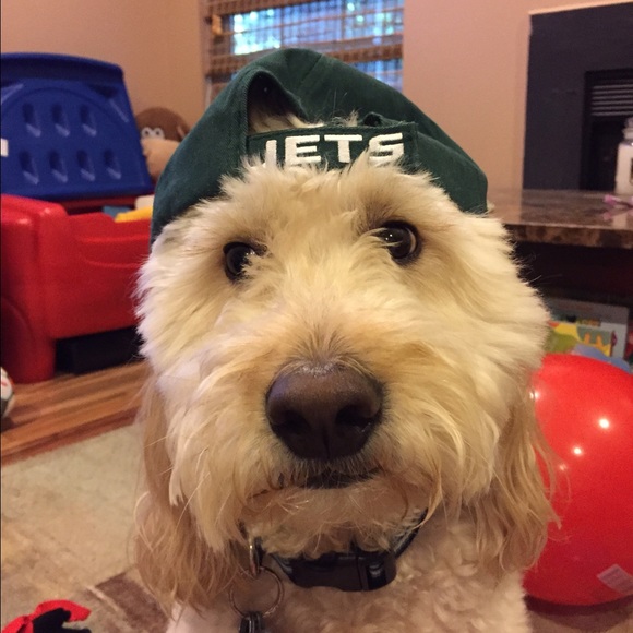 Meet your Posher, Traci - Picture 1 of 1