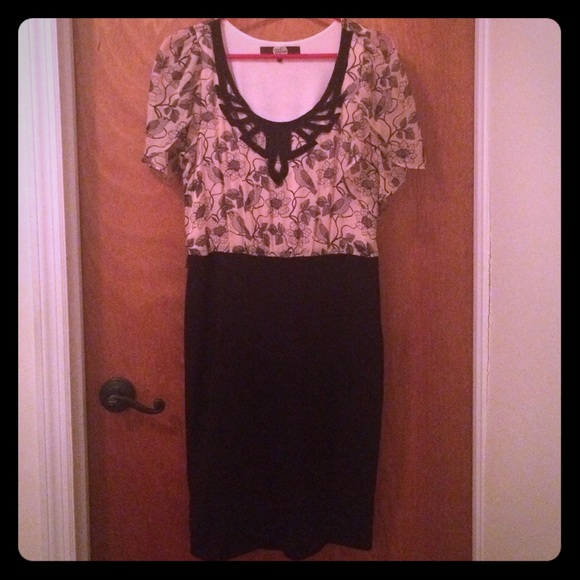 Eva Franco Hummingbird printed dress black skirt.