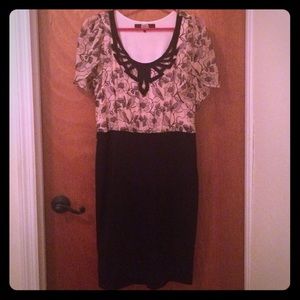 Eva Franco Hummingbird printed dress black skirt.