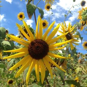 Meet your Posher, Kendall