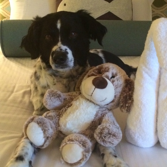 💕WELCOME TO MY CLOSET💕 - Picture 2 of 8