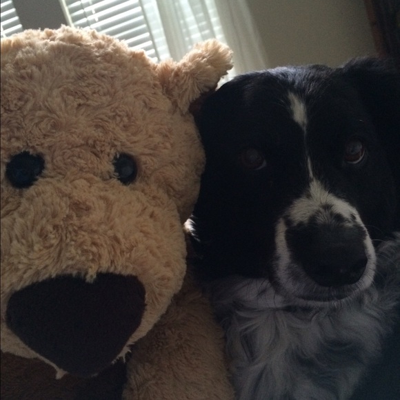 💕WELCOME TO MY CLOSET💕 - Picture 3 of 8