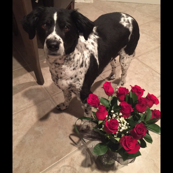 💕WELCOME TO MY CLOSET💕 - Picture 4 of 8